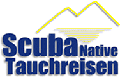 firma-logo